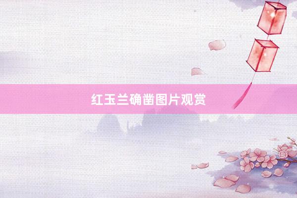 红玉兰确凿图片观赏