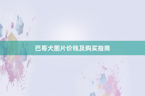巴哥犬图片价钱及购买指南